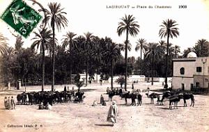 3069- Laghouat - Place du Chameau - 1908